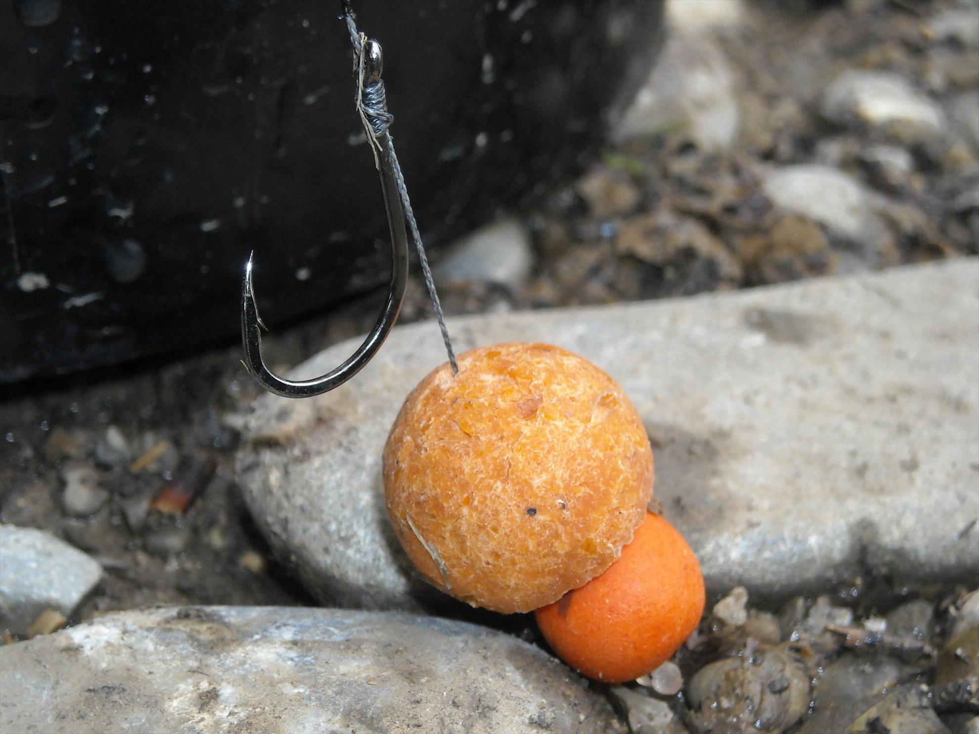 Senior Trophy - 2010 - dscn5674.jpg